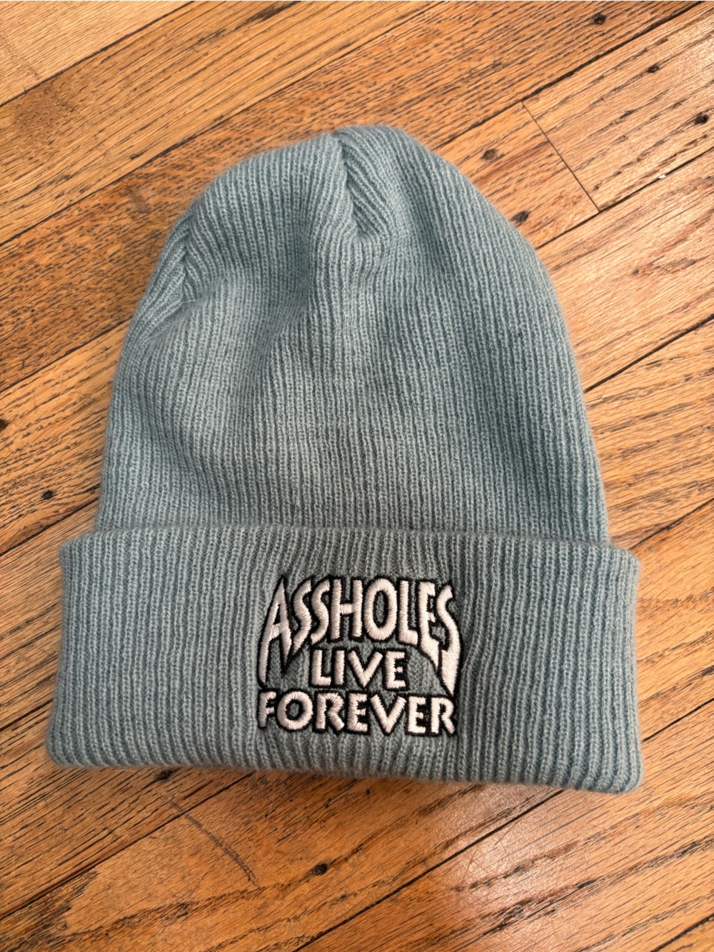 Assholes live forever beanie